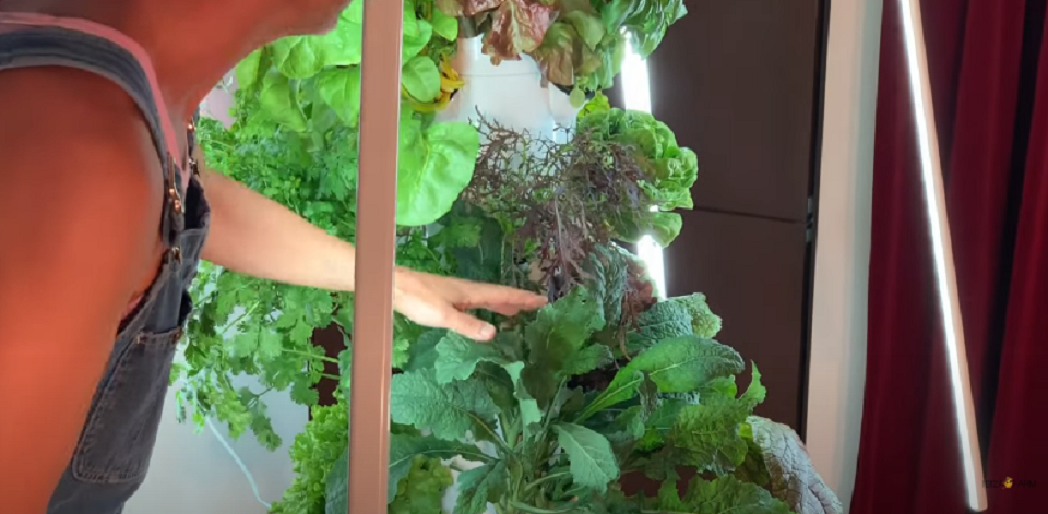 How To Build a Hydroponic tower Garden With Lights