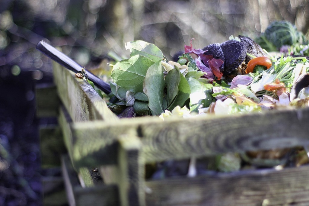 Easy Tips for Composting in an Apartment Balcony